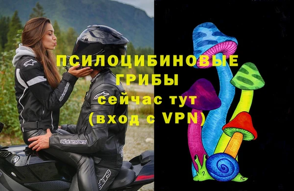 прущая мука Армянск