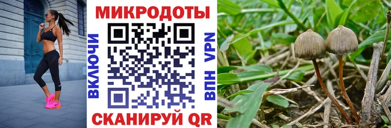 Галлюциногенные грибы Psilocybine cubensis  маркетплейс как зайти  Артёмовский  кракен ТОР 